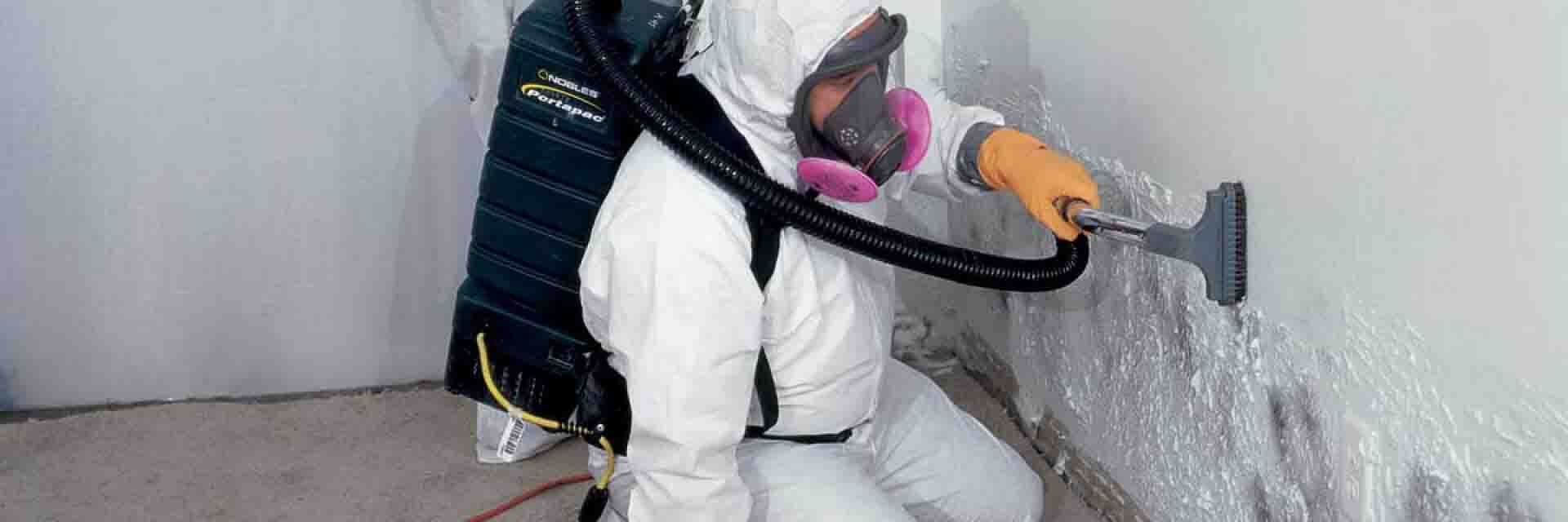 remediation, removal, inspection, remove, mold, removed, remediation service, mold testing, mold remediation, remove mold, removing mold, mold remover, removing
